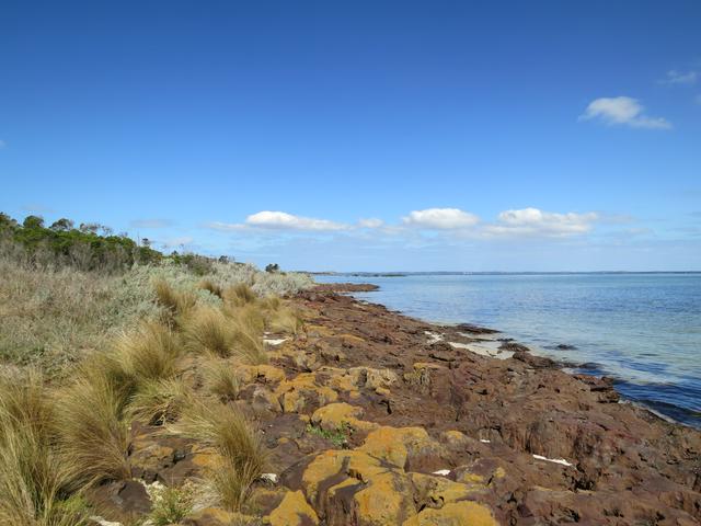 West Coast of French Island, looking south