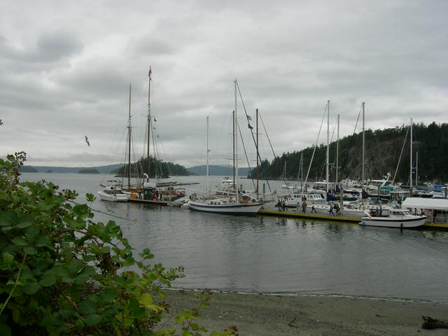 boats docked at Lopez Island