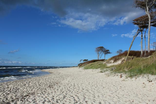 West coast sand beach near Darßer Ort