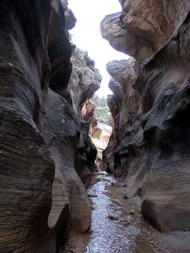 Willis Creek