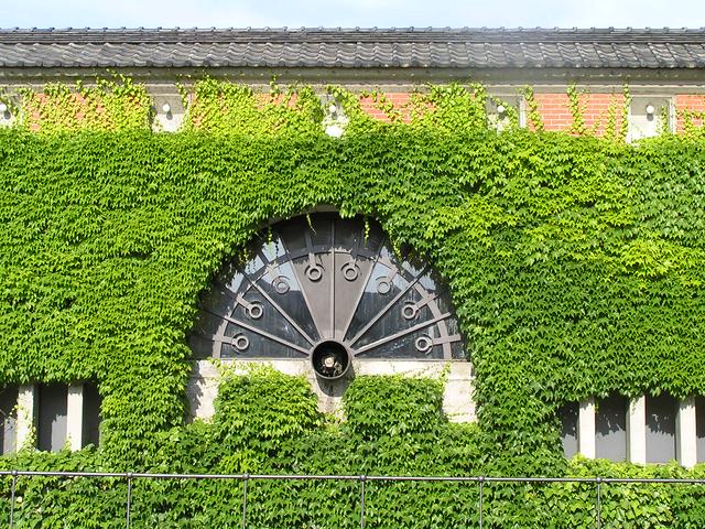 Ivy Square, Kurashiki