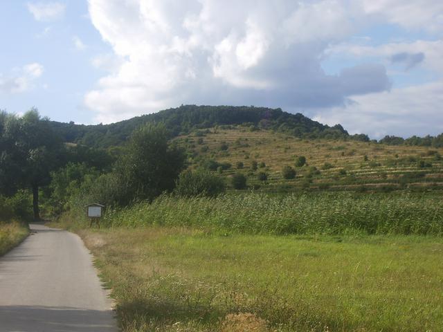 Vineyards at the outskirts of Pezinok.