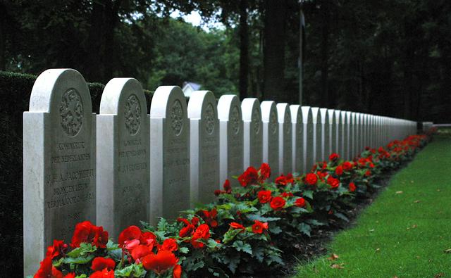 Row of graves on the Military Cemetery on the Grebbeberg.