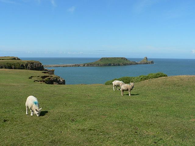 Worm's Head, Rhossili, Swansea