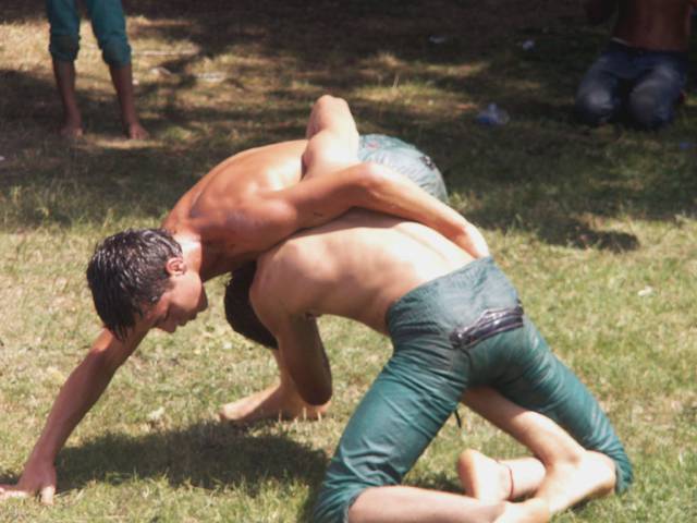 Young oil wrestlers