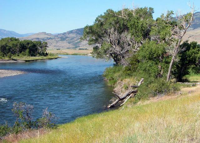 Yellowstone River just south of Livingston.