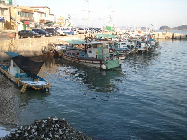 Fishing ships in Daebudo