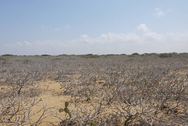 Punta Gallinas desert