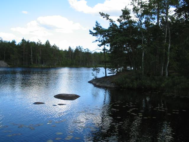 Tyresta National Park