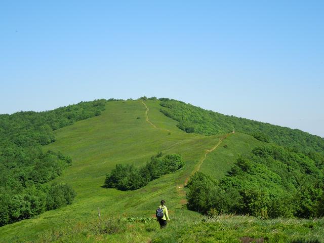 View to the summit of Durkovec (1189 m)