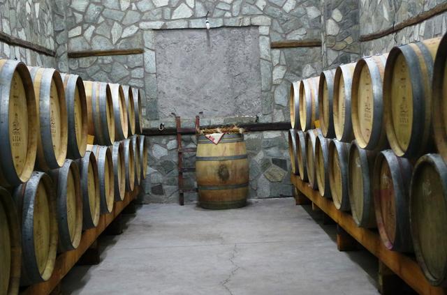 Wine barrels in a cellar at Popova Kula