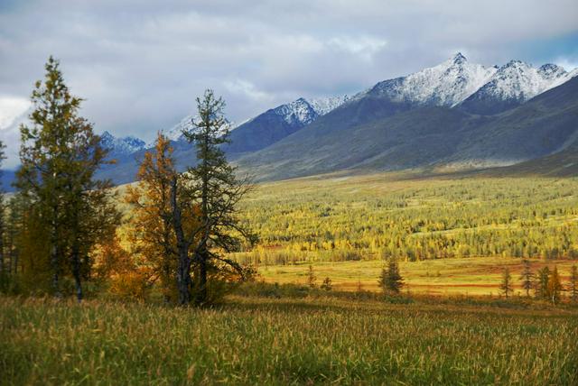 Yugyd Va National Park, in the Komi Virgin Forests