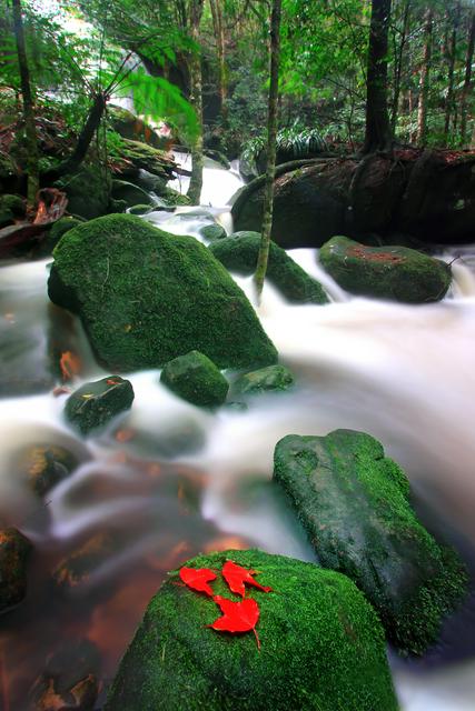 One of the many streams and falls inside the park