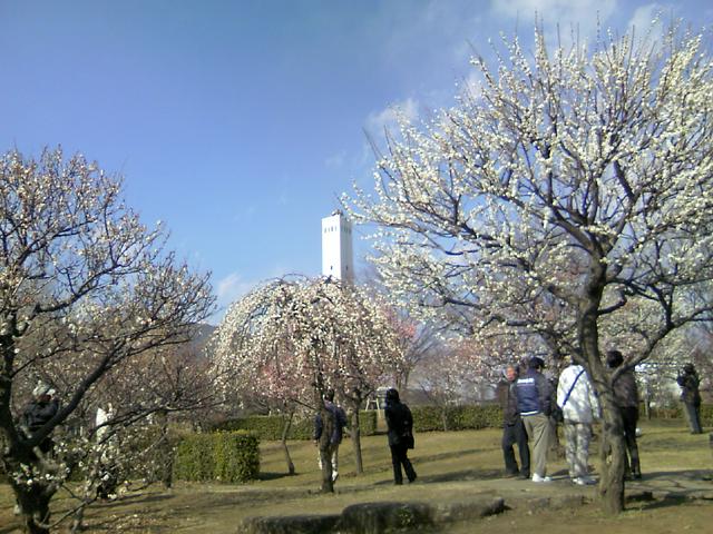 Sagamihara North Park